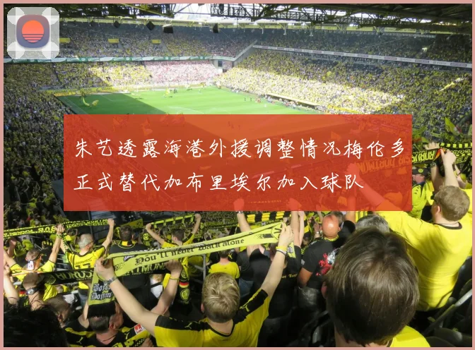 朱艺透露海港外援调整情况梅伦多正式替代加布里埃尔加入球队